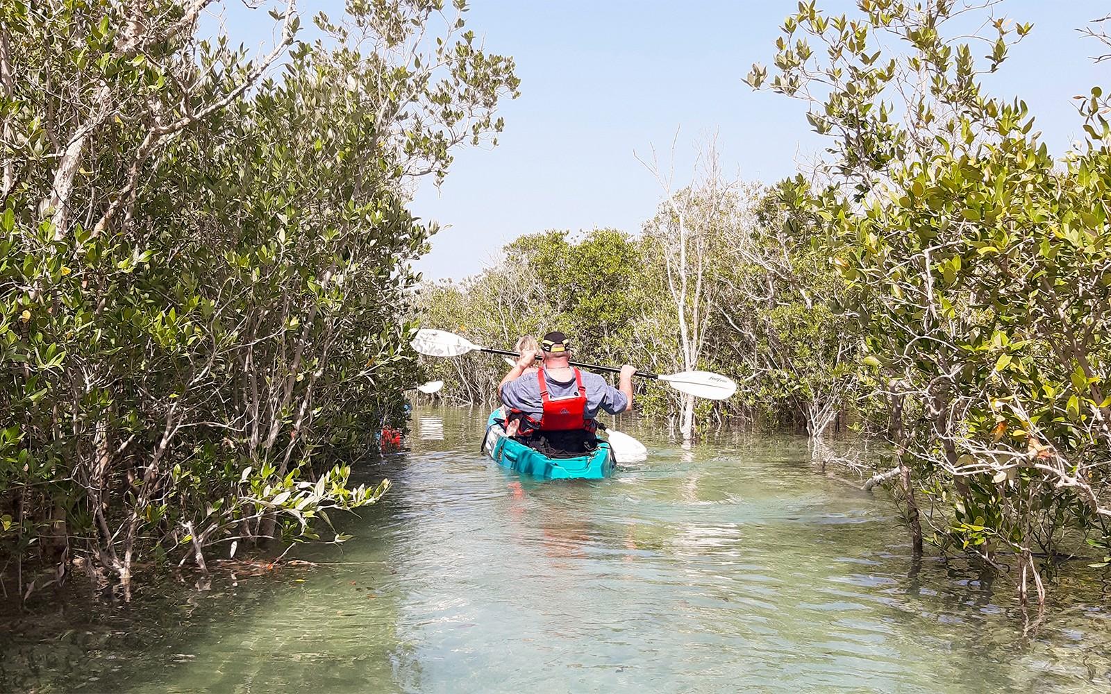 Kayaking through the mangrove lagoon behind the beach at Al Yamm