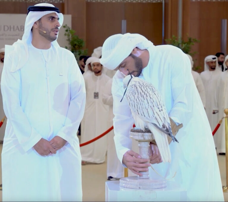 A white falcon takes AED 1.5 million at ADIHEX, the highest price of the 2026 auctions