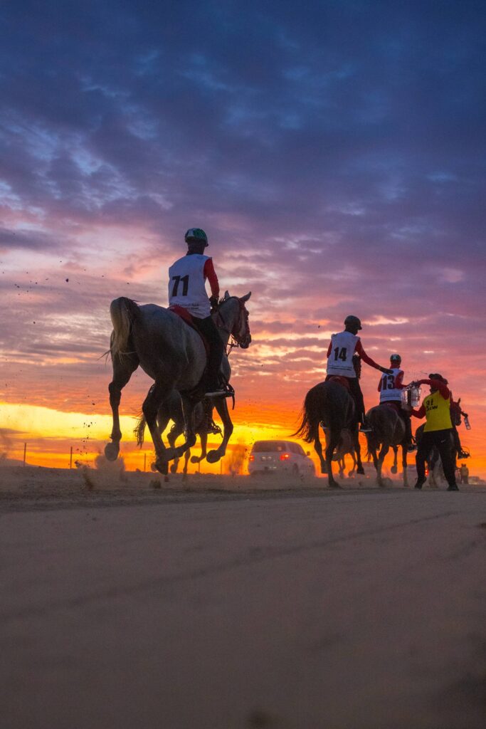 horsesmansour