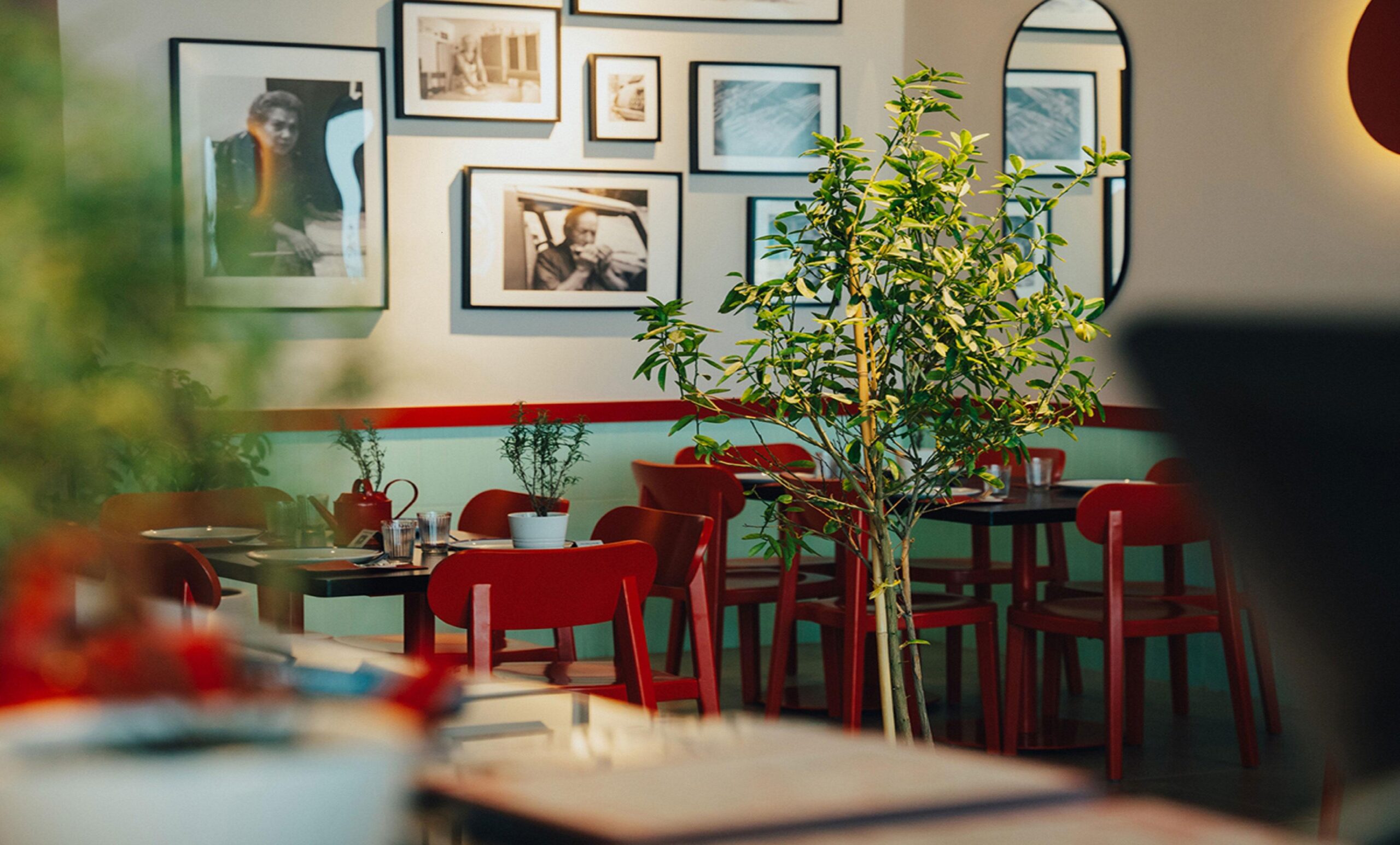 Neighbourhood dining atmosphere at Antonia Trattoria Al Zeina
