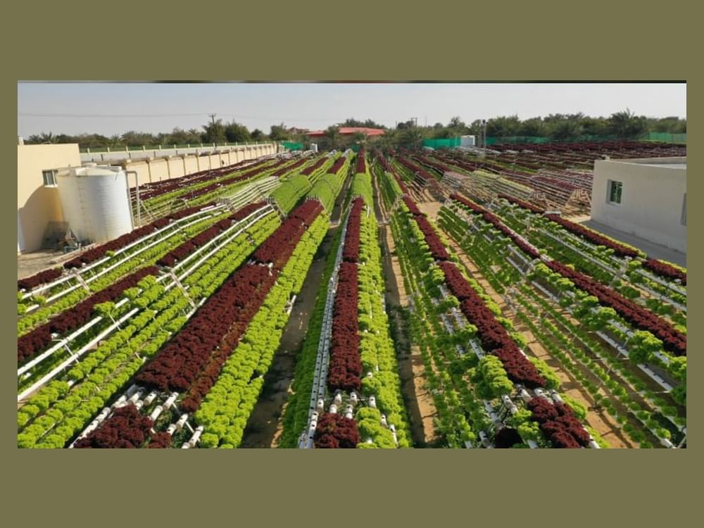 UAE ramps up drive to take national products into global markets