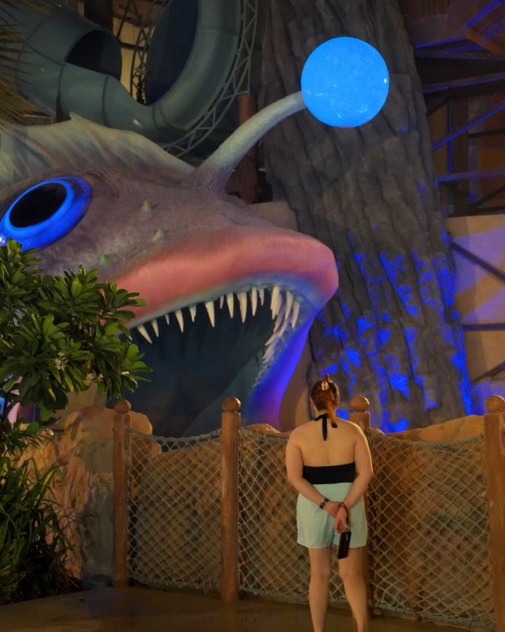 Yas Waterworld Yas Island 3