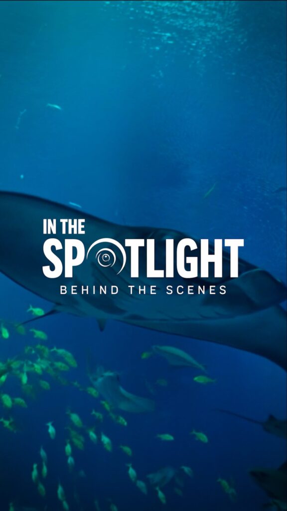 SeaWorld Yas Island
