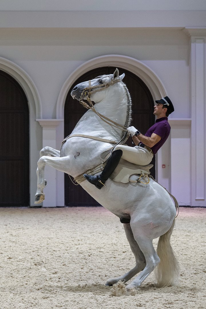 Abu Dhabi Royal Equestrian Arts to open new season with Furusiyya: The Return to Origins performance