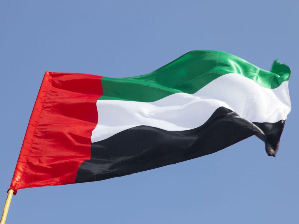 UAE Extends Sympathy to Democratic Republic of the Congo Following Aviation Tragedy