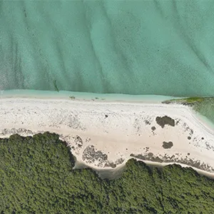 Department of Culture and Tourism – Abu Dhabi launches Abu Dhabi Islands and Water Sports Guide