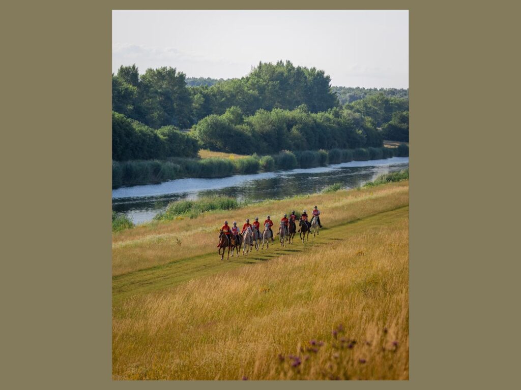 Slovakia welcomes sixth edition of Emirates International Endurance Village equestrian series