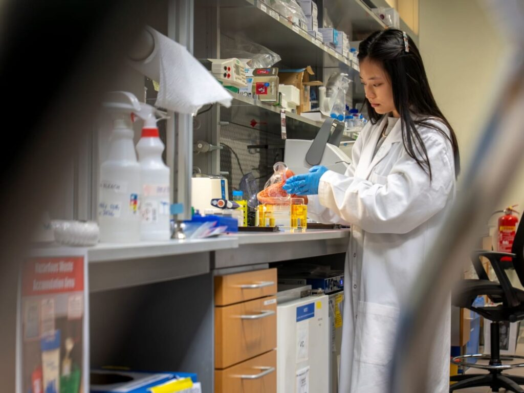 NYU Abu Dhabi Research Illuminates Cellular Responses to Cancer-Causing Genes