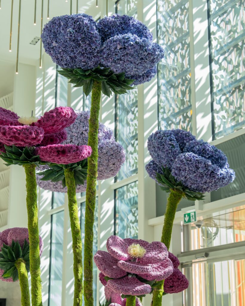 Four Seasons Hotel Abu Dhabi at Al Maryah Island 3