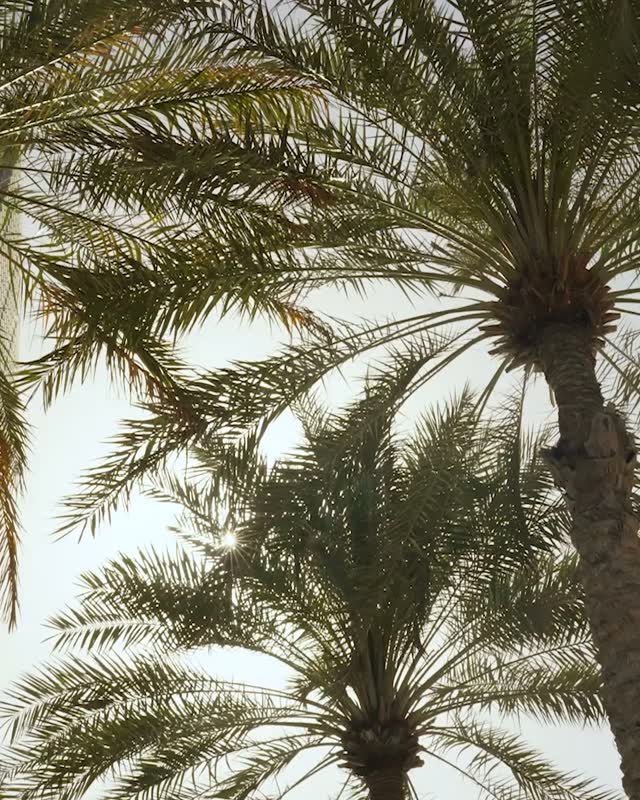 Rosewood Abu Dhabi