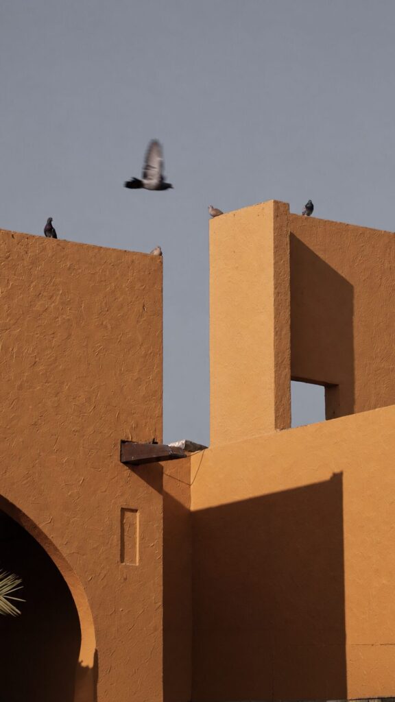 Aldhafra Resort, Vignette Collection by IHG