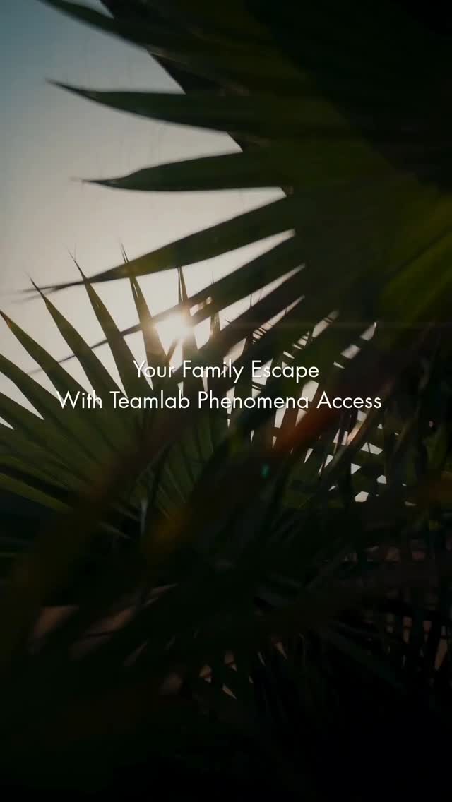 Saadiyat Rotana Launches Immersive Family Package with teamLab Access