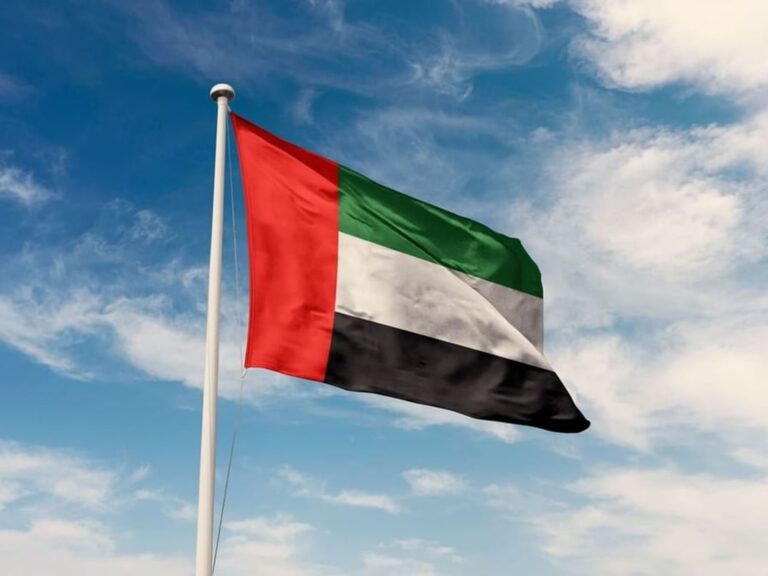 UAE Reaffirms Solidarity with Saudi Arabia Following Houthi Attacks