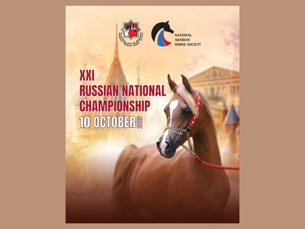 UAE and Russia Unite to Celebrate Arabian Horse Heritage at Moscow Championship